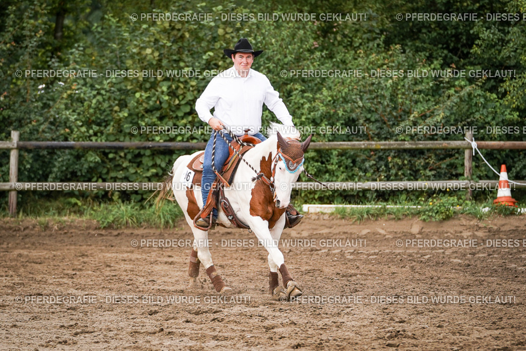 DSC08899 | Pferdegrafie