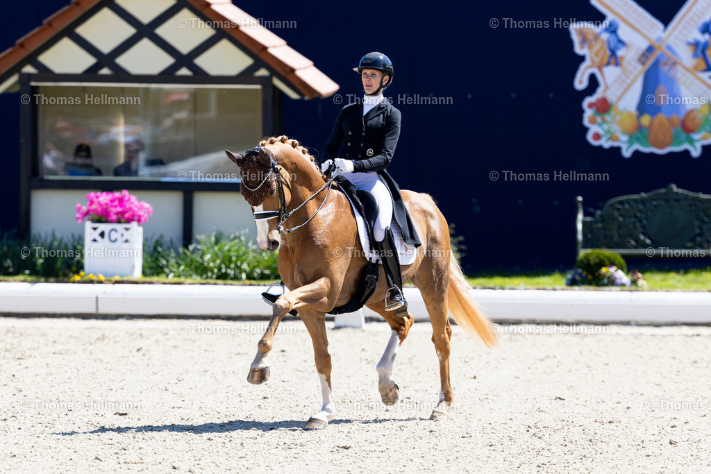 TH_594-Borghese MT-Soddemann_ Kira Laura_27936 | Horses &amp; Dreams meets the Netherlands 2025 am 27.04.25 in Hagen a.T.W., 594Borghese MTSoddemann, Kira Laura