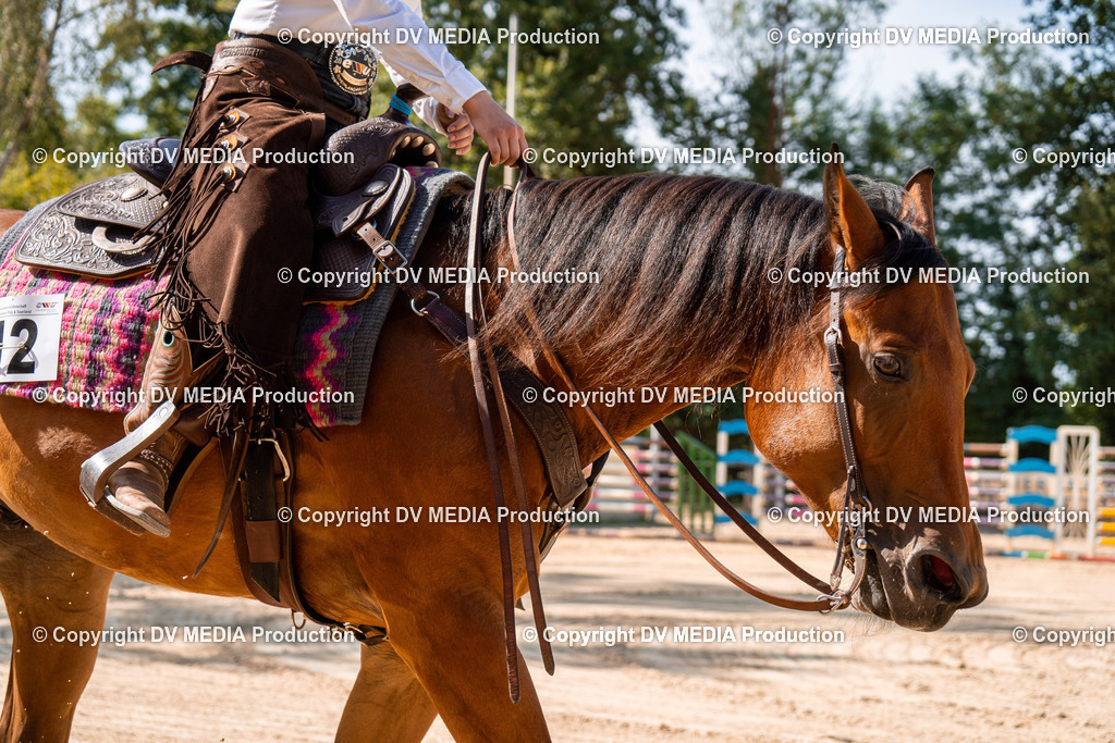 ZH100260 | dv-media-shop - Realisiert mit Pictrs.com