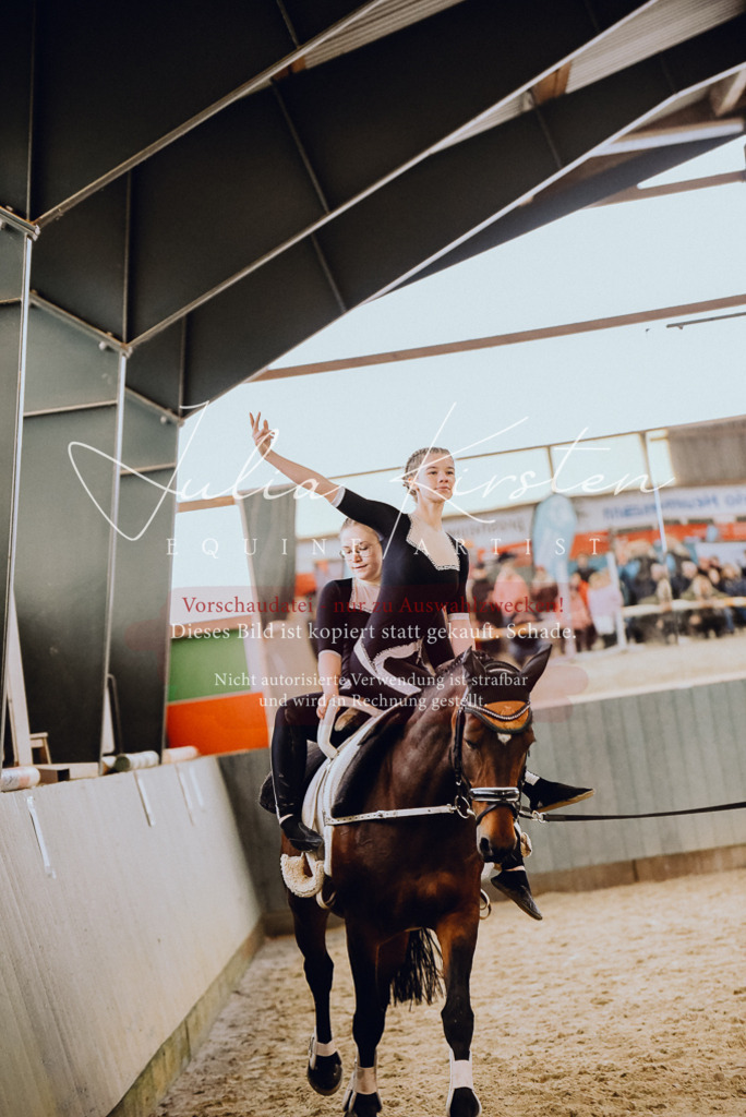 DSC_6903 | Pferde- und Turnierfotografie in Westsachsen. Pferdeportraits, Auftragszeichnungen und intuitive Kunst.