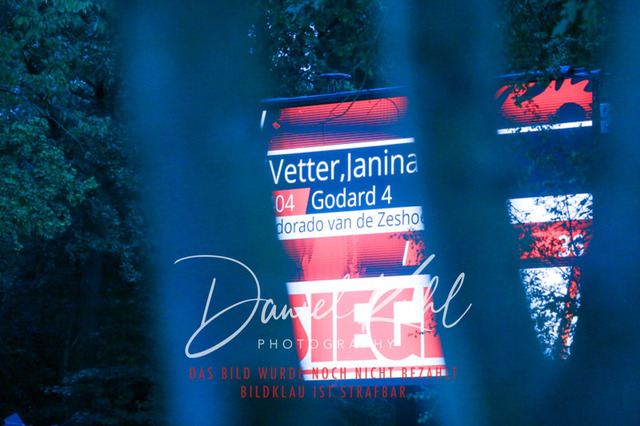 IMG_6241 | Turniersportfotografie; Pferdefotografie; Dressurfotografie