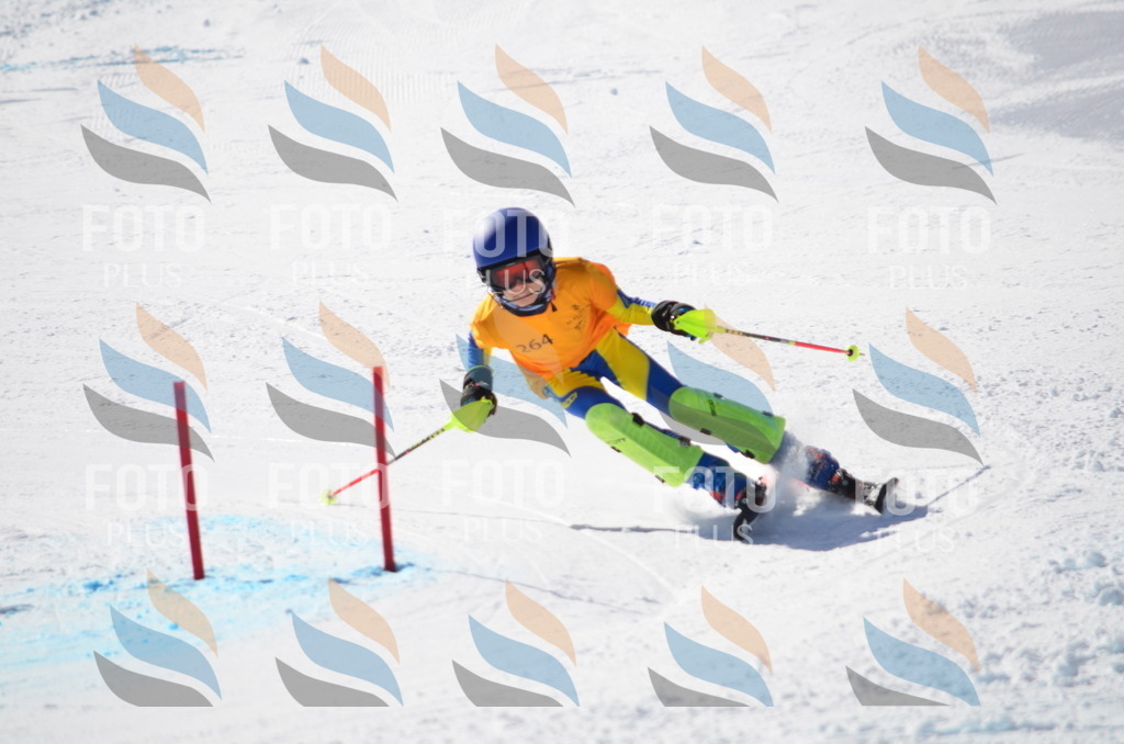 C8541 | holidayphoto