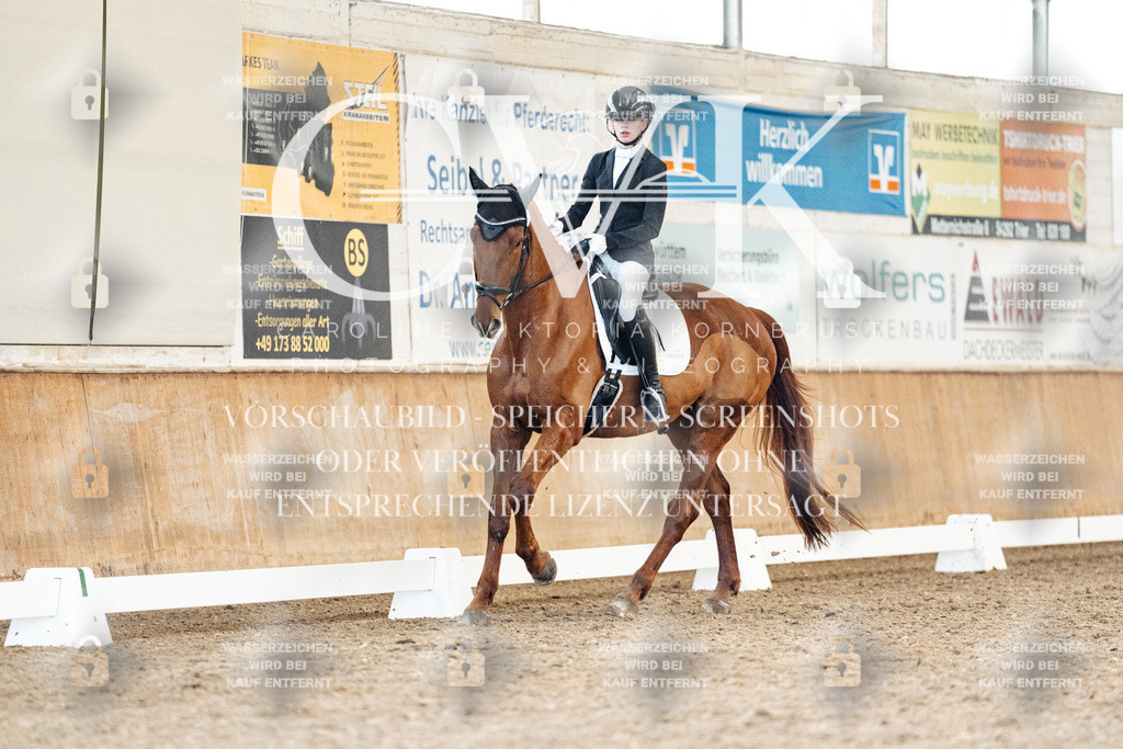 CK908695 | Turnierfotografie Pferdefotografie Trier Rheinland-Pfalz Pferdesport Reitsport Tierfotografie Sportfotografie Pferdevideo Pferdevideografie Equestrianvideography equestrianphotography  - Realisiert mit Pictrs.com