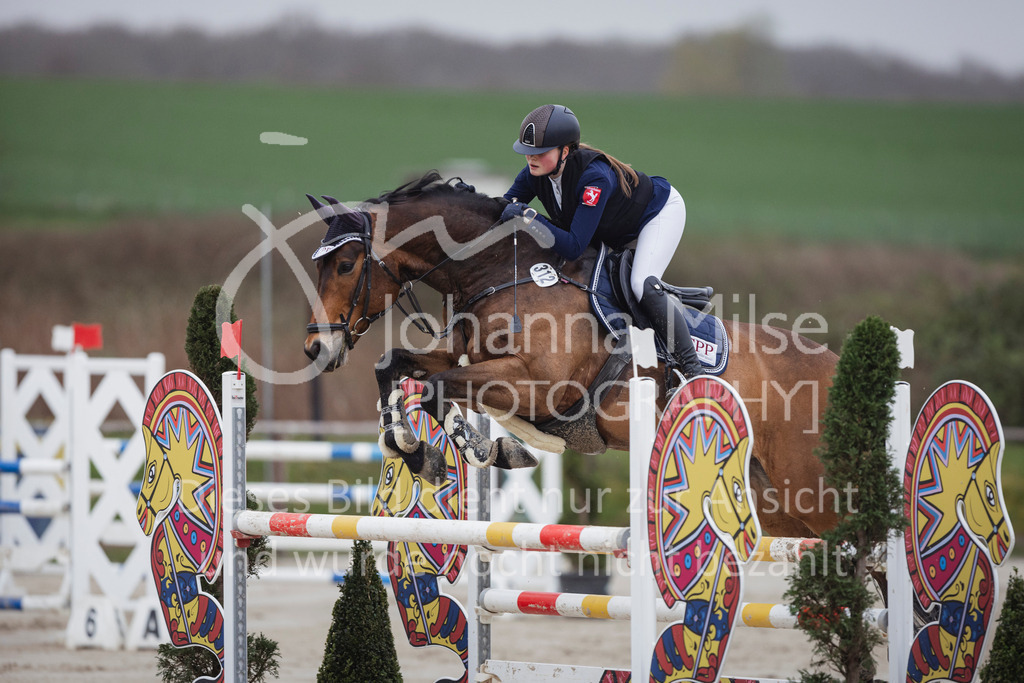 240330_Fruehlingsfest_Stil-M-992 | Deine schönsten Turniermomente als professionelle Fotos! Entdecke hochwertige Pferdesport-Fotografie im Online-Shop. Jetzt Fotos finden & bestellen!