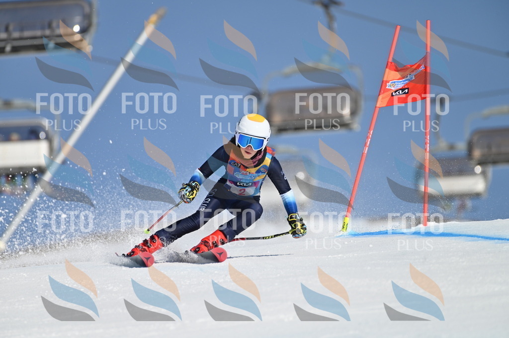 BGV_7594 | holidayphoto