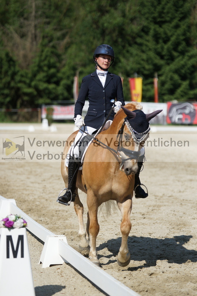 DSC02967 | equestrian-live-com
