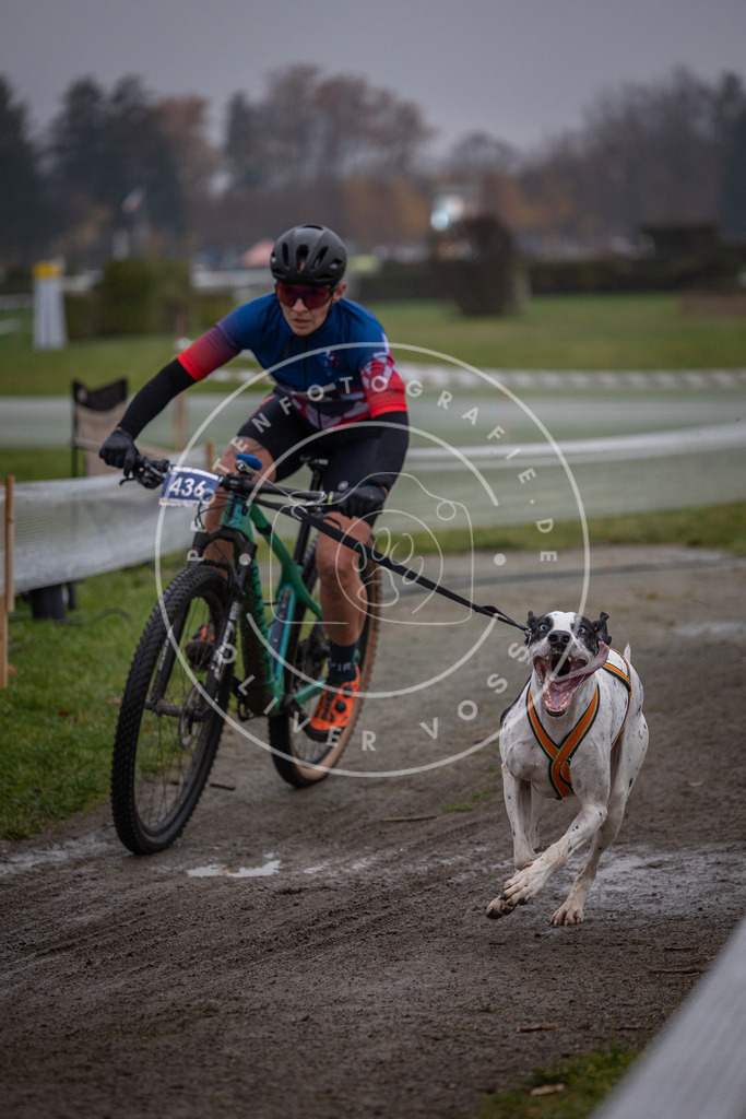 CaniXpix_0L8A1495 | Hundefotografie, Tierfotograf, Pfotenfotografie, Fotoshooting Hund, Hunde Portrait, Hundesport, Hundeportraits, Heideshooting, Hunde, Sportfotograf, Hundefotograf, Turnierhundsport, THS,  - Realisiert mit Pictrs.com