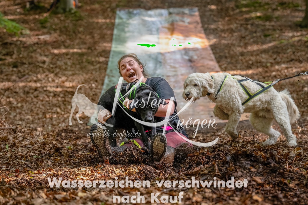 1221_ZZ94355-Bearbeitet | kk-dogfotos