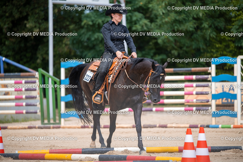 ZS2_3804 | dv-media-shop - Realisiert mit Pictrs.com