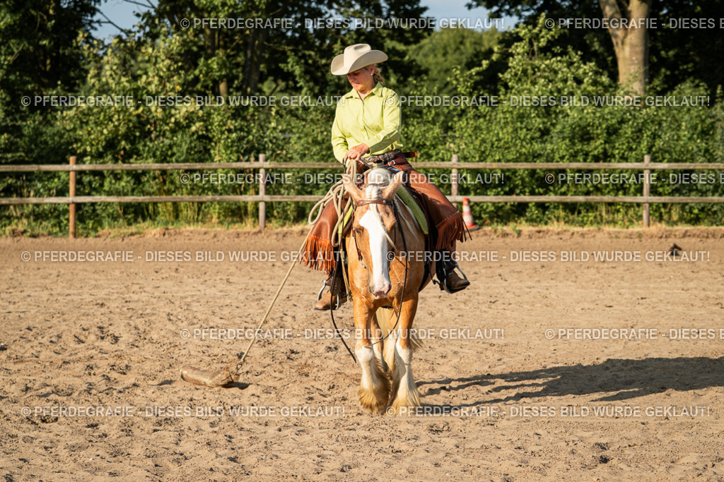 DSC05694 | Pferdegrafie