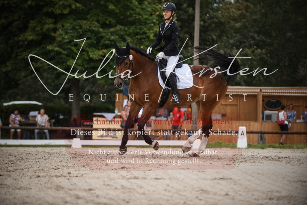 DSC_8288 | Pferde- und Turnierfotografie in Westsachsen. Pferdeportraits, Auftragszeichnungen und intuitive Kunst.
