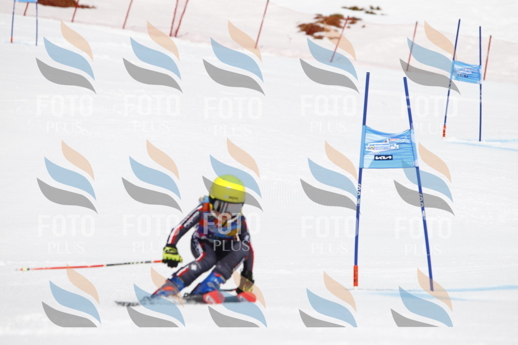 _U3G6293 | holidayphoto