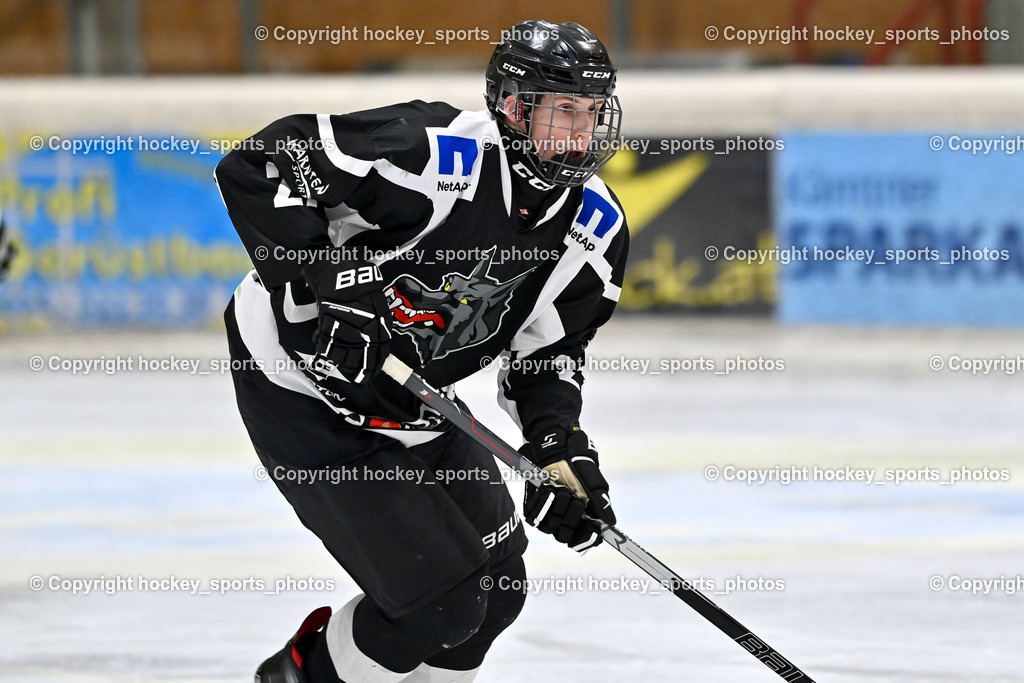EC Tigers Paternion vs. Tarco Wölfe II | #27 Wirtitsch Benjamin Tarco Wölfe II, EC Tigers Paternion vs. Tarco Wölfe II, EC Tigers Paternion vs. Tarco Wölfe II am 19.12.2024 in Spittal an der Drau (Eissportzentrum Spittal), Austria, (Photo by Bernd Stefan)