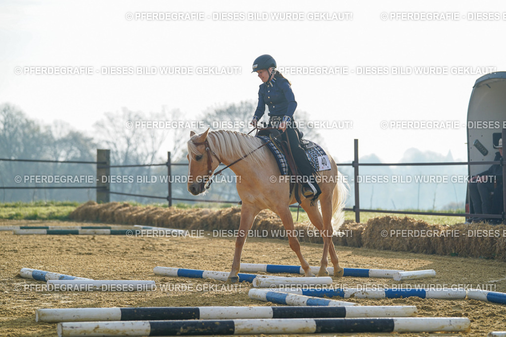 DSC09975 | Pferdegrafie