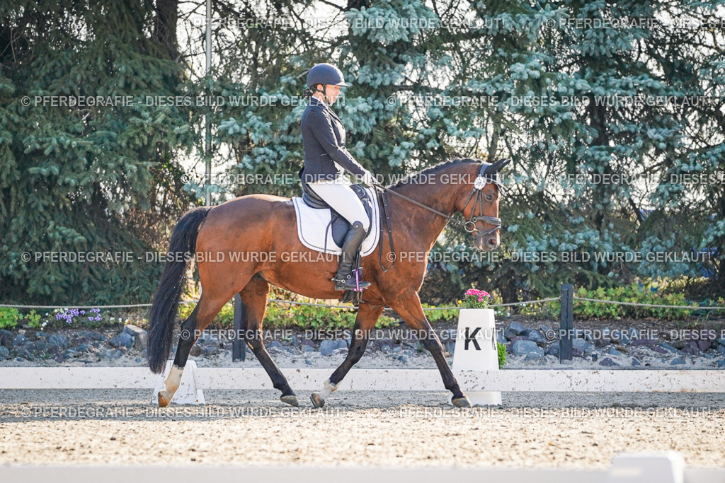 DSC09033 | Pferdegrafie