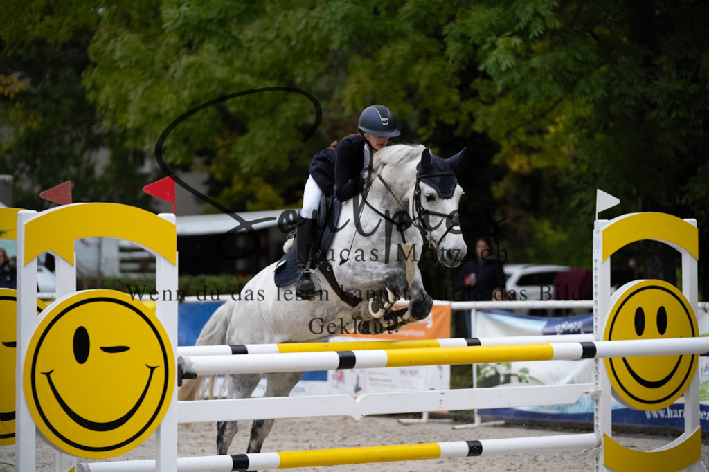 A7V08750 | Pferdefotograf