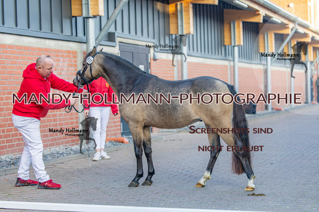 KWEP (31 von 702) | mandyhollmannphotographie