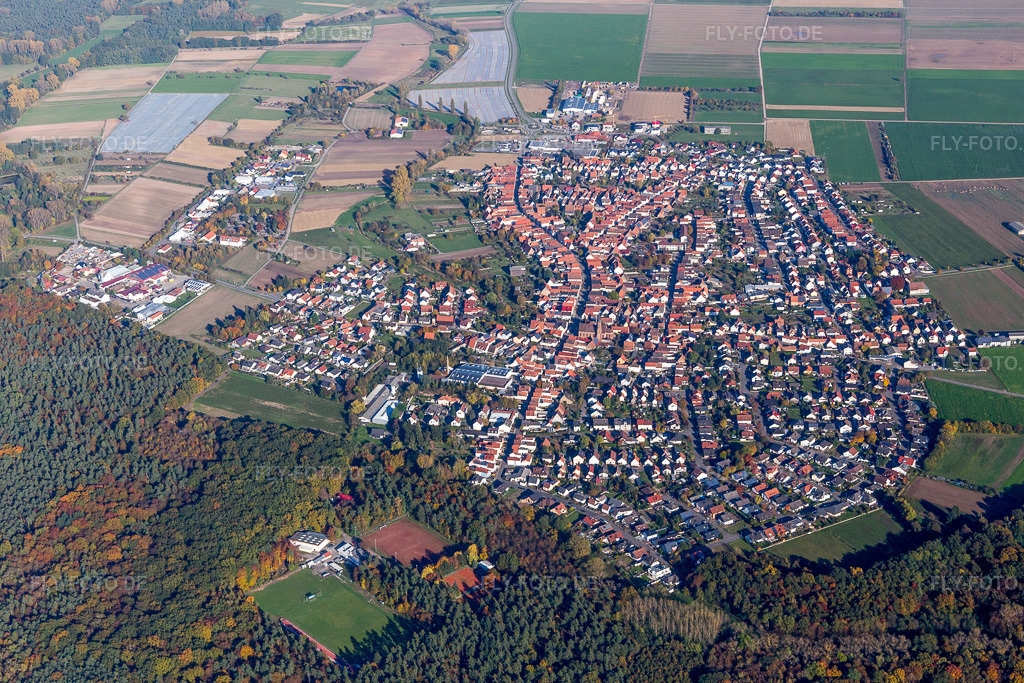 Luftbild: Ortsansicht der Straßen und Häuser der Wohngebiete in Harthausen im Bundesland Rheinland-Pfalz in Deutschland. Foto: IMG_095370.jpg vom 30.10.2016 durch Werner Riehm/FLY-FOTO.de