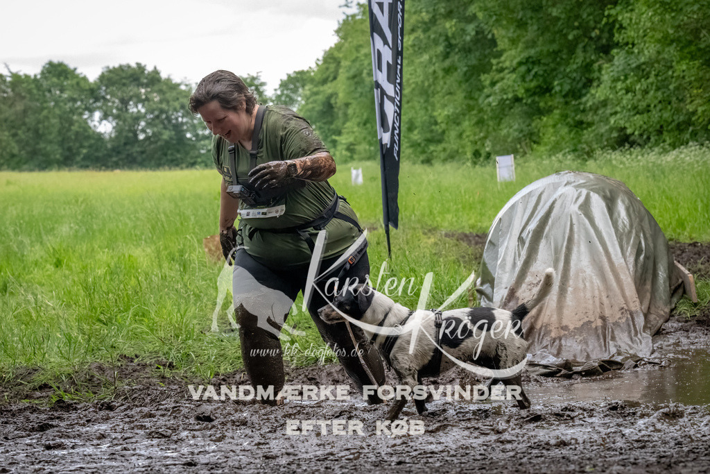 1542_ZZ94913-Bearbeitet | kk-dogfotos