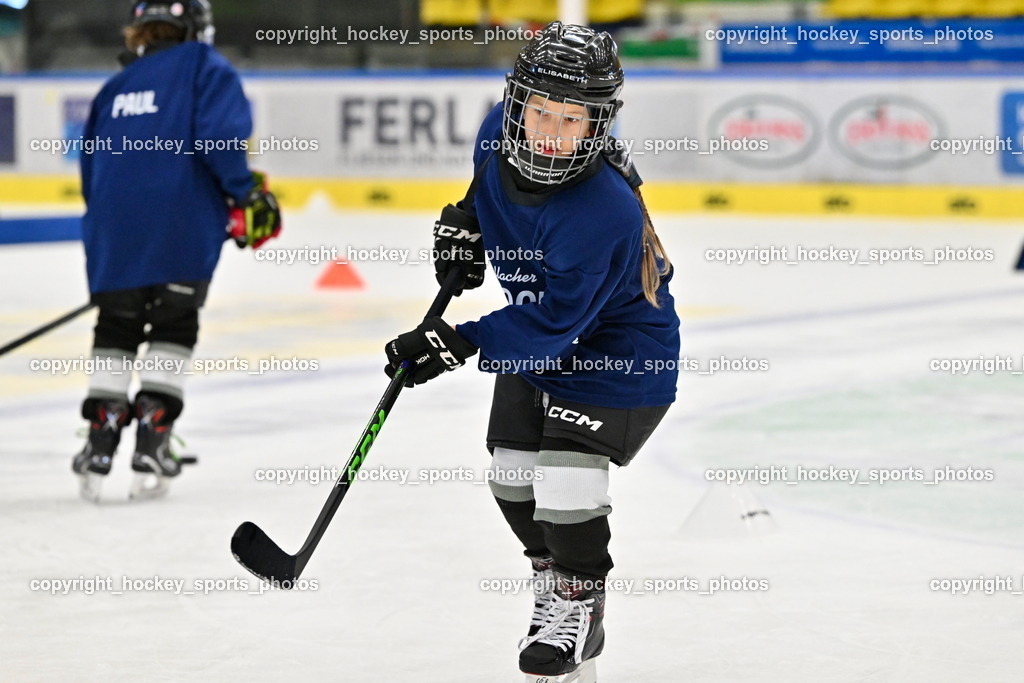 Z9B_1777 | hockey sports photos, Pressefotos, Sportfotos, hockey247, win 2day icehockeyleague, Handball Austria, Floorball Austria, ÖVV, Kärntner Eishockeyverband, KEHV, KFV, Kärntner Fussballverband, Österreichischer Volleyballverband, Alps Hockey League, ÖFB, 