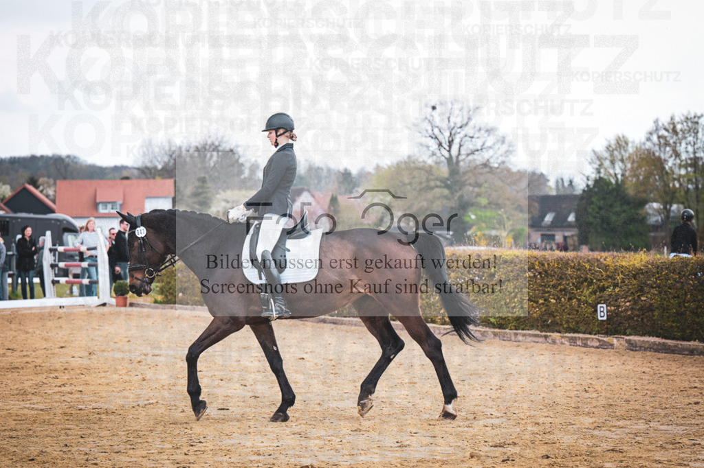 DOS_7652 | Entdecke hochwertige Reitturnierfotos von Foto Oger. Professionell, emotional und authentisch – jetzt Lieblingsmomente im Shop bestellen.Deutschlandweite Turnierfotografie. - Realisiert mit Pictrs.com