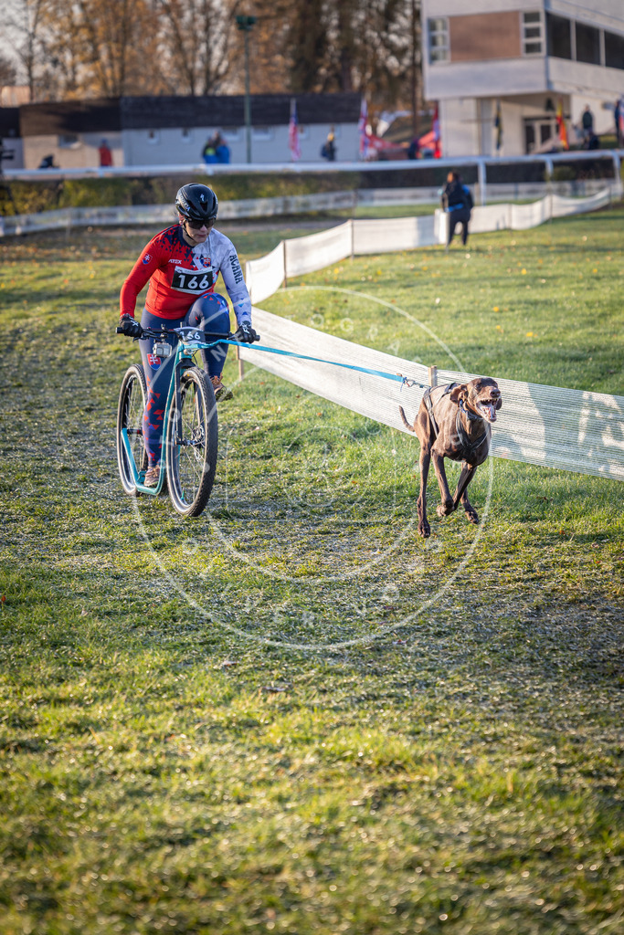 CaniXpix_0L8A3311 | Hundefotografie, Tierfotograf, Pfotenfotografie, Fotoshooting Hund, Hunde Portrait, Hundesport, Hundeportraits, Heideshooting, Hunde, Sportfotograf, Hundefotograf, Turnierhundsport, THS,  - Realisiert mit Pictrs.com