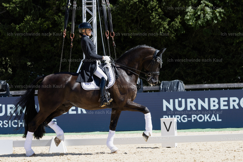 FHC2026_P12_Siegerehrung_19353 | working equitationturnier fotograf videograf stoibphotography marixx film working equitation deutschland reitsport turnierfotografie eventfotografie equestrian events