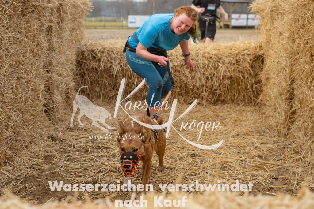 0837_ZZ93702 | kk-dogfotos