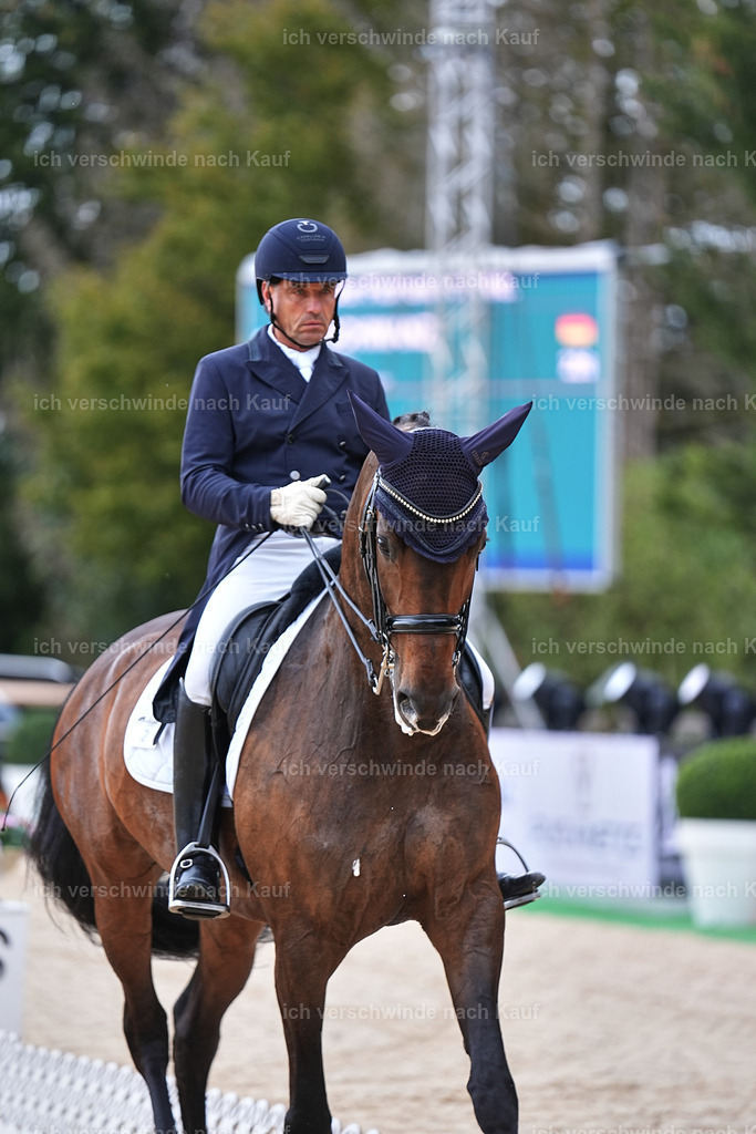12-226-DRESSUR  S___  -Marixx-5198 | working equitationturnier fotograf videograf stoibphotography marixx film working equitation deutschland reitsport turnierfotografie eventfotografie equestrian events