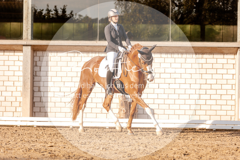 3I6A2304 | Stimmungsvolle Portraits und Reitsportfotografie im Ruhrgebiet und im Münsterland.

Pferdefotografie, Hundefotografie, Tierfotografie, Reportagen, Portraits von Tier und Mensch, Turnierfotografie in Bochum, Recklinghausen, Marl, Haltern am See, Dülmen.. - Realisiert mit Pictrs.com