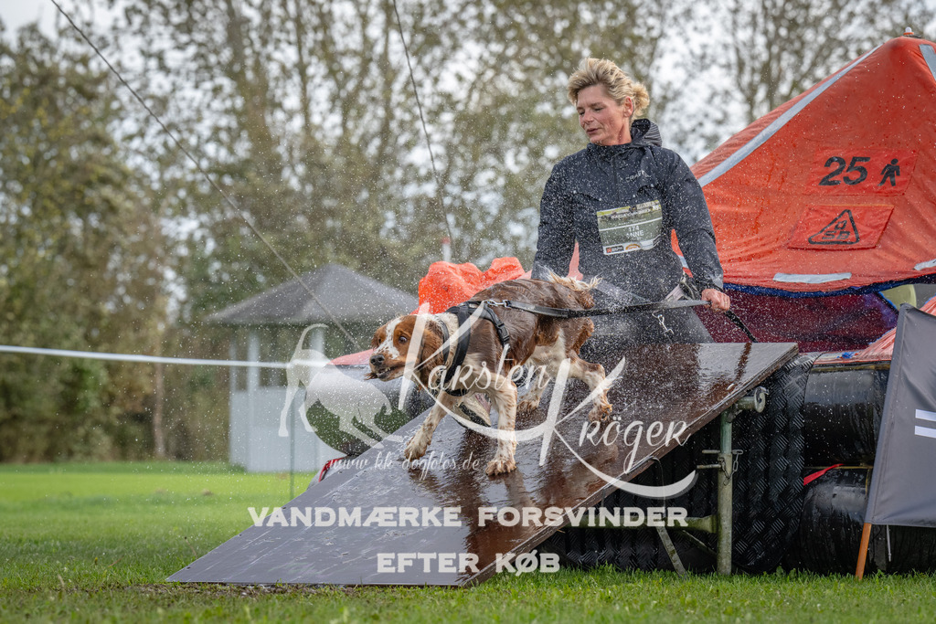1216-93095 | kk-dogfotos