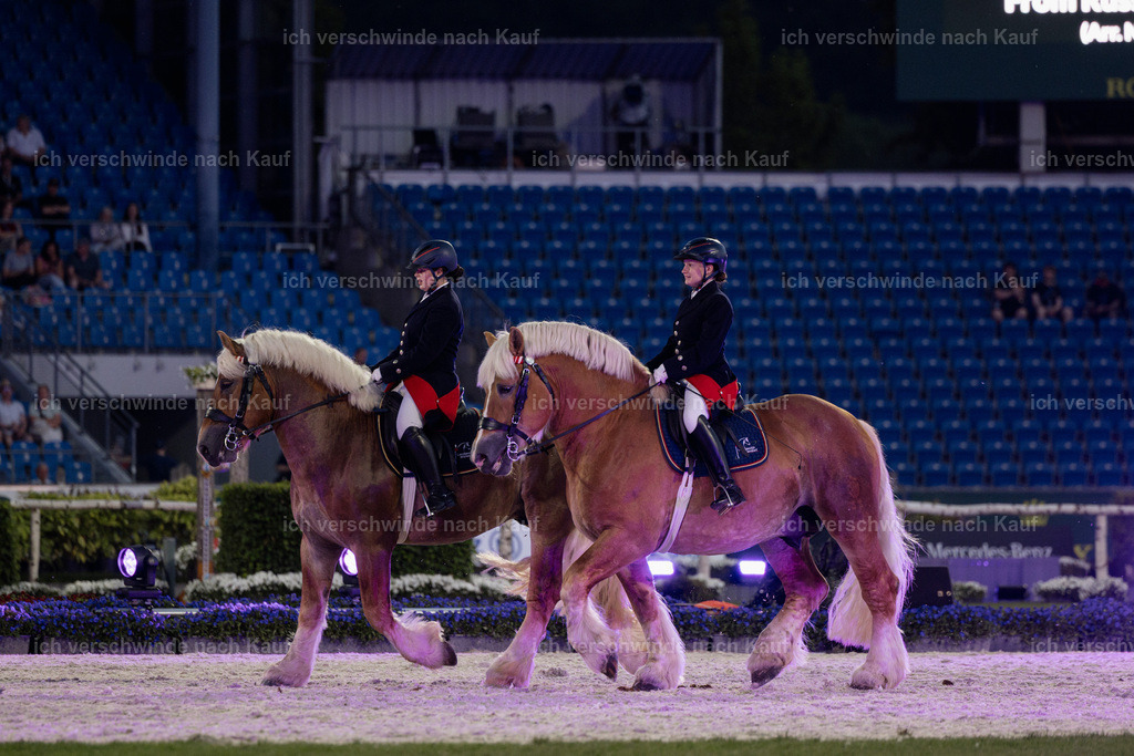 TSCHIO26_PferdundSinfonie_StoibphotographyTSCHIO26_Pferd-Sinfonie_Stoibphotography_AM11464.CR3.jpg | working equitationturnier fotograf videograf stoibphotography marixx film working equitation deutschland reitsport turnierfotografie eventfotografie equestrian events