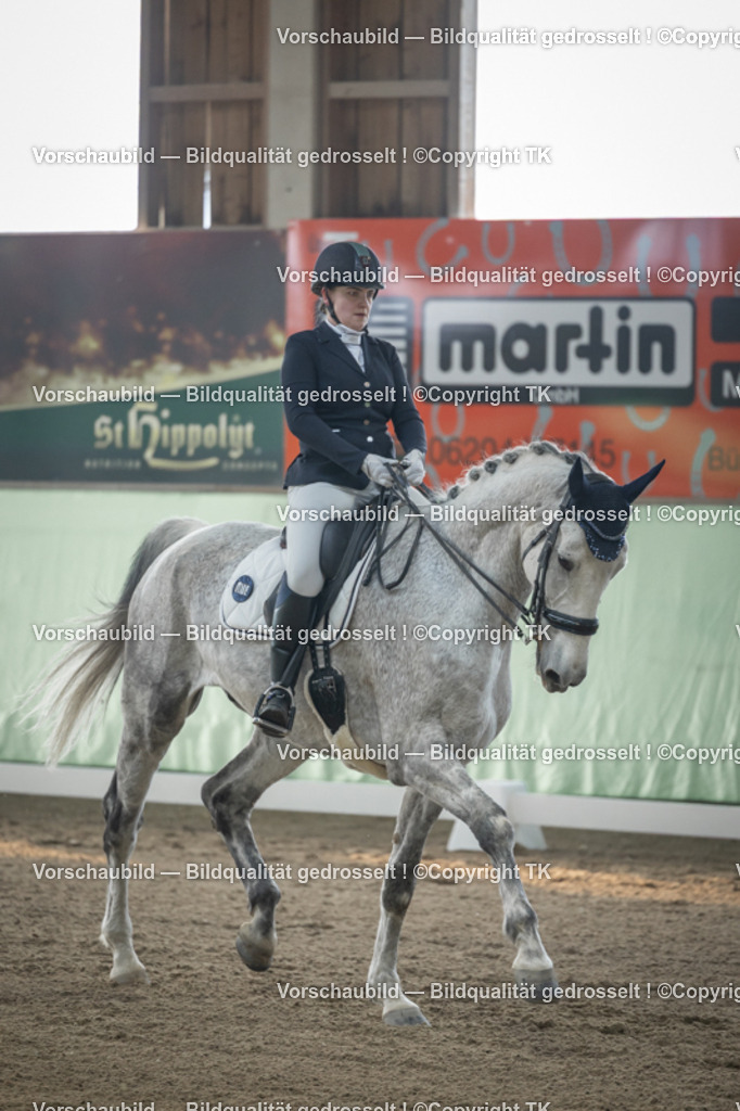 _D5A4229 | Emotionale Pferde- & People-Fotografie rund um Heidelberg, Leimen & Umgebung. Natürliche Fotos von Pferd, Mensch & Familie. Jetzt Termin sichern!