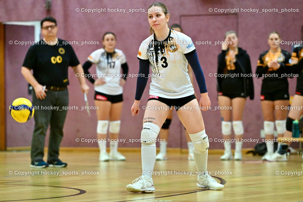 ASKÖ Volley Eagles Villach vs. VC Hausmannstätten | #3 BUTTAZONI Sabrina ASKÖ Volley Eagles Villach, ASKÖ Volley Eagles Villach vs. VC Hausmannstätten, ASKÖ Volley Eagles Villach vs. VC Hausmannstätten am 01.02.2025 in Villach (Ballspielhalle Lind), Austria, (Photo by Bernd Stefan)