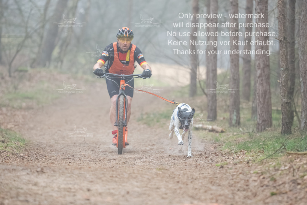 Scooter1-85 | stephaniefillaphotographie - Realisiert mit Pictrs.com