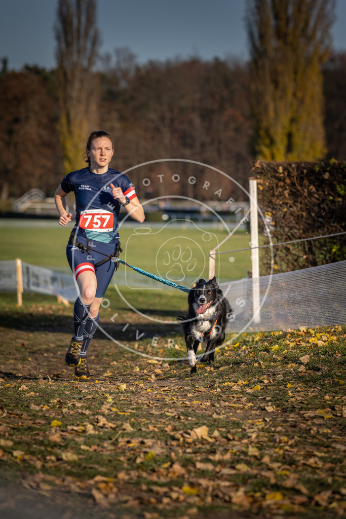CaniXpix_DV3A2577 | Hundefotografie, Tierfotograf, Pfotenfotografie, Fotoshooting Hund, Hunde Portrait, Hundesport, Hundeportraits, Heideshooting, Hunde, Sportfotograf, Hundefotograf, Turnierhundsport, THS,  - Realisiert mit Pictrs.com