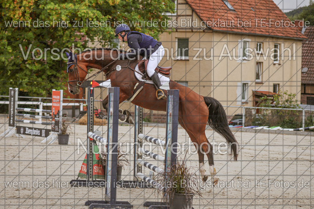 2025-09-22_09-44-57_MG_4514 | TE-Fotos