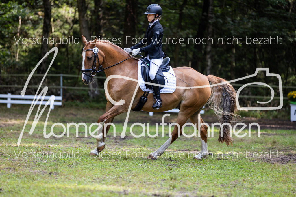 HB-Dressur-WB-116 | MomenTaufnahmen Pferdesportfotos