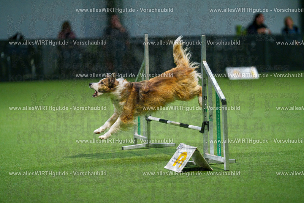 7R509725 | Professionelle Tierfotografie in Mönchengladbach von Daniel Wirth (allesWIRTHgut). Liebevolle & natürliche Bilder von Hunden & Katzen für unvergessliche Erinnerungen.