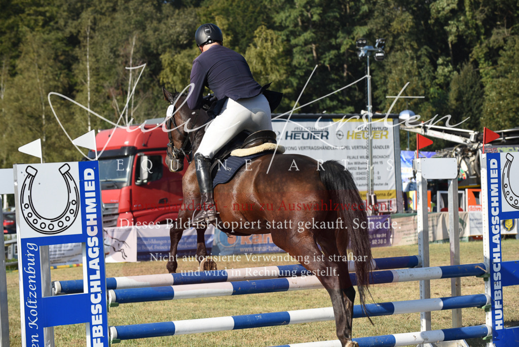 DSC_5116 | Pferde- und Turnierfotografie in Westsachsen. Pferdeportraits, Auftragszeichnungen und intuitive Kunst.