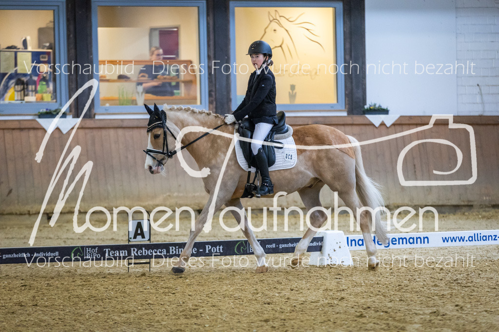 Sth-WBO25-EDr-071 | MomenTaufnahmen Pferdesportfotos