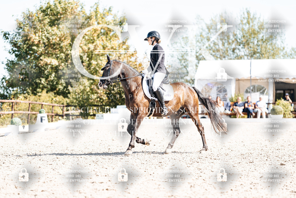 CK909477 | Turnierfotografie Pferdefotografie Trier Rheinland-Pfalz Pferdesport Reitsport Tierfotografie Sportfotografie Pferdevideo Pferdevideografie Equestrianvideography equestrianphotography  - Realisiert mit Pictrs.com