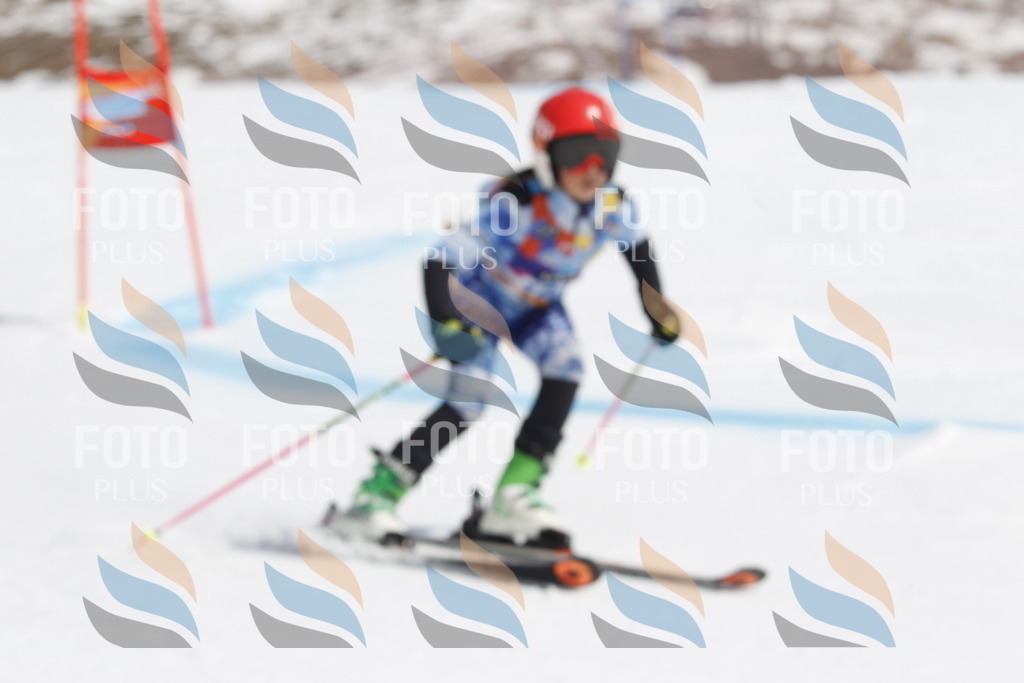 _U3G1735 | holidayphoto