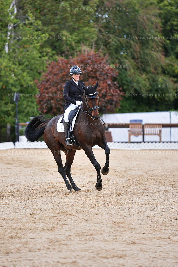 10-193-ST.GEORG SPECIAL -Marixx-3387 | working equitationturnier fotograf videograf stoibphotography marixx film working equitation deutschland reitsport turnierfotografie eventfotografie equestrian events