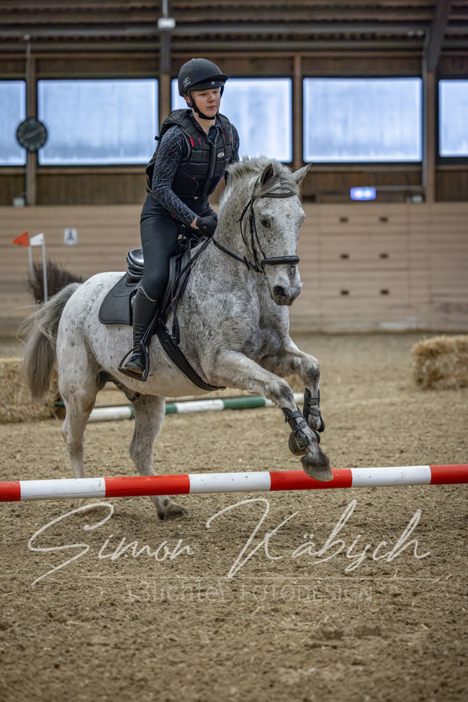 20260222-_3LI0762 | Tierfotografie Pferde, Hunde, Katzen, Haustiere.
Turnierfotografie Reitturniere, Reiten, Springreiten, Dressur in Hanau, dem Main-Kinzig-Kreis und dem Rhein-Main- Gebiet um Frankfurt