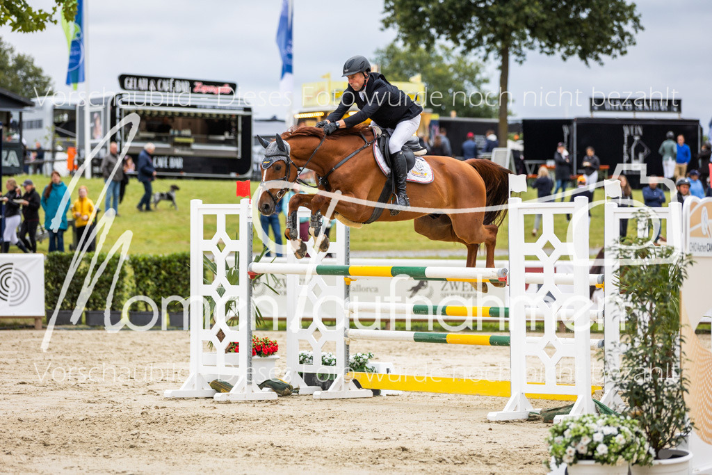 BHO-2PhSpr-M-5-2371 | MomenTaufnahmen Pferdesportfotos