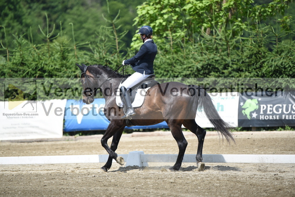 DSC_8927 | equestrian-live-com