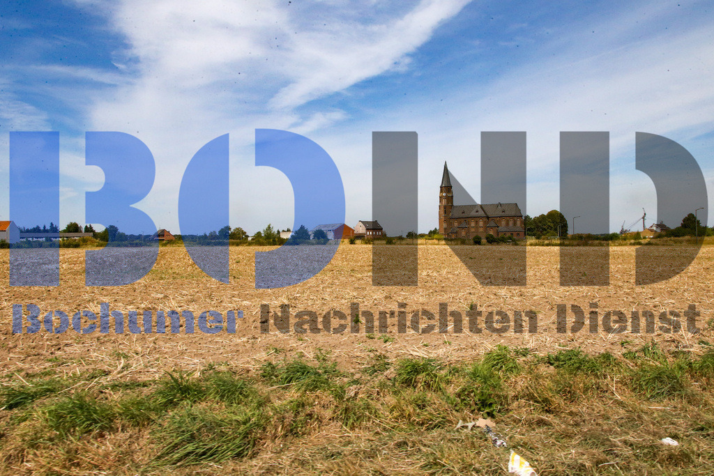 SES_TAGHAM2025082-30 | bond - Realisiert mit Pictrs.com