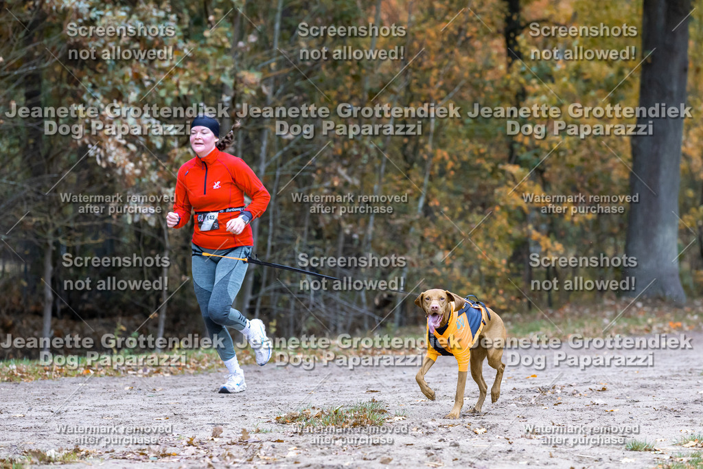 Dog Paparazzi - SD CaniX Championship 2025-460 | Dog Paparazzi Jeanette Grottendiek Fotografie & Videografie - Realisiert mit Pictrs.com