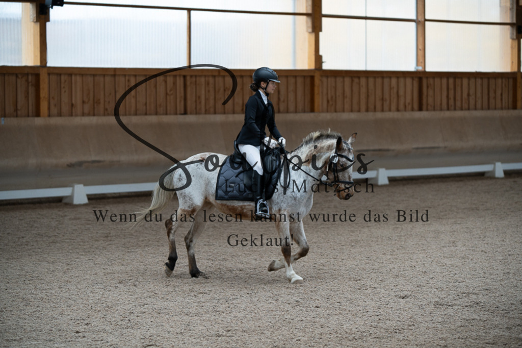 A7V02650 | Pferdefotograf